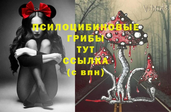 spice Белокуриха