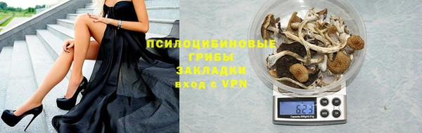 spice Белокуриха