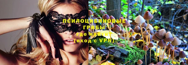 гидропоника Белоозёрский