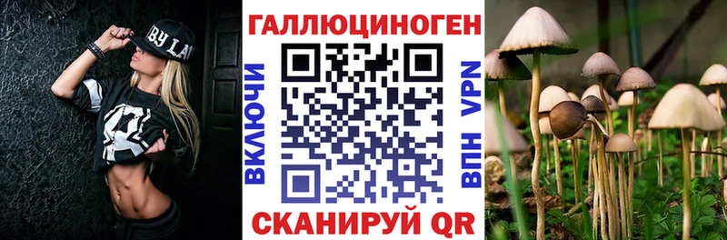 Галлюциногенные грибы GOLDEN TEACHER Шелехов